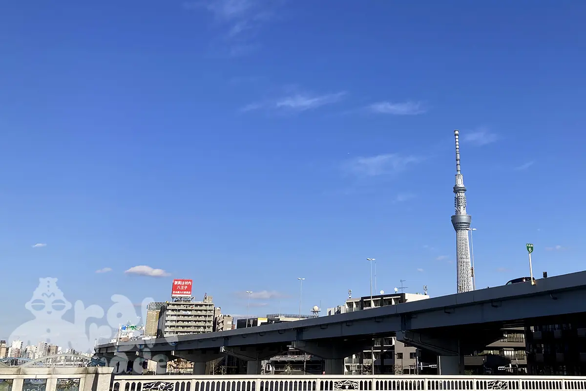 蔵前橋からスカイツリーを望む